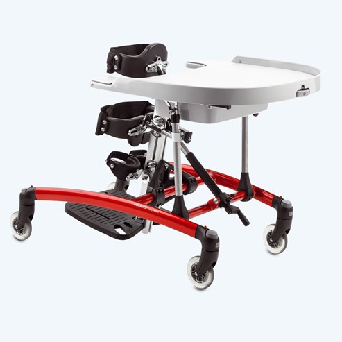 TOUCAN STANDING FRAME  BLUE