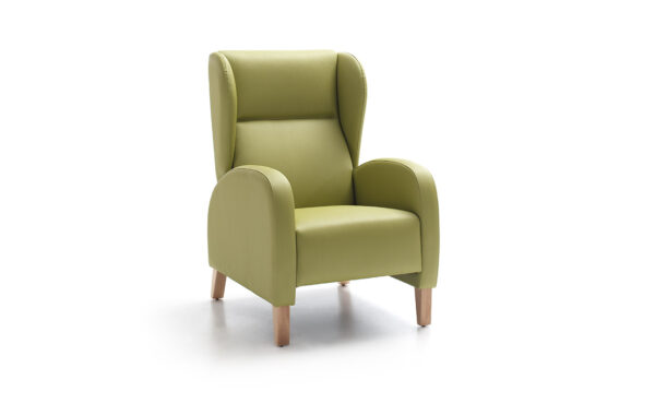 ARMCHAIR CORAL FIXED HEIGHT WITH WINGS